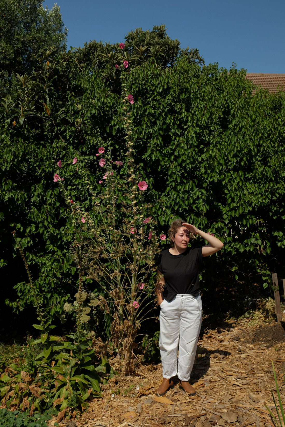 Eleanor LoNardo of Borrowed Garden